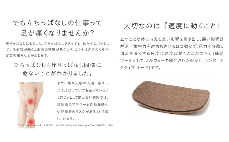 バランス アクティブボード（木製用マット付） 楽天市場】バランス アクティブボード 木製 マット付き