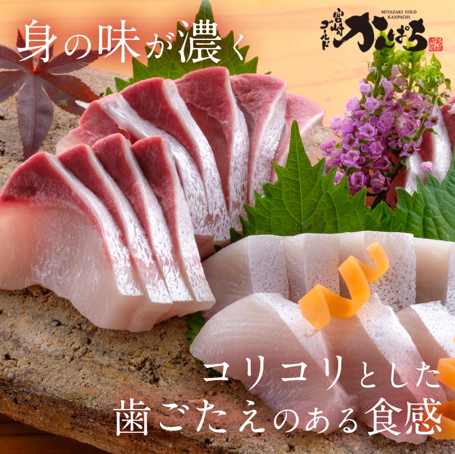 宮崎県延岡市のふるさと納税 鰤屋金太郎【冷凍】ぶりたいかんぱちスキンレスロイン各種300g N018-YB349-2