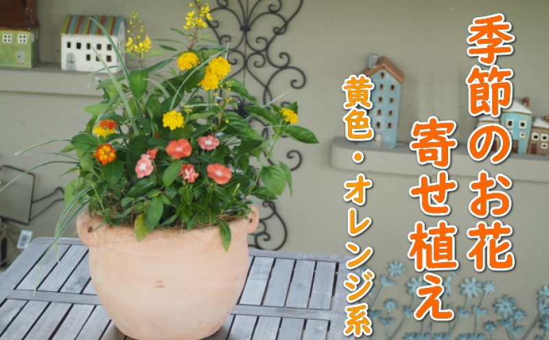 植物 寄せ植え 季節のお花 黄色 オレンジ系 つぼ丸型 25cm ガーデニング 花 