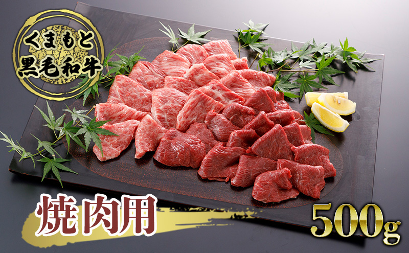 すき焼き 肉 くまもと 黒毛和牛 500g すきやき スキヤキ すき焼き肉 牛肉 お肉 牛 ブランド牛 熊本 鍋 