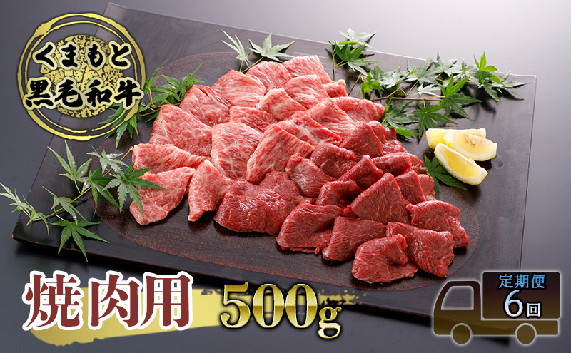 定期便 6ヶ月 焼肉 くまもと 黒毛和牛 500g 焼き肉 焼肉用 牛肉 肉 お肉 牛 ブランド牛 熊本 やきにく ヤキニク BBQ バーベキュー お楽しみ 6回 毎月 