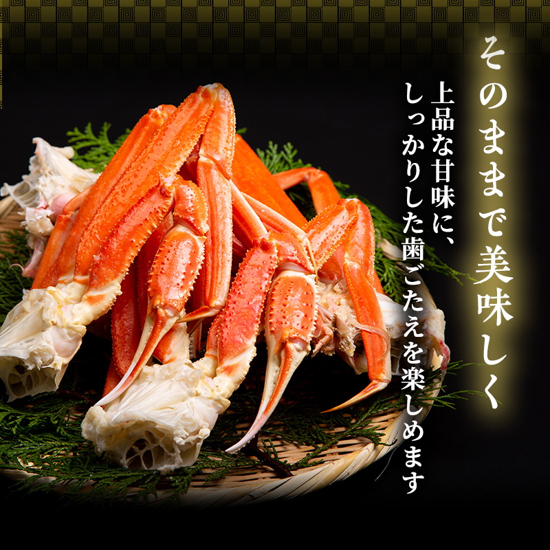 期間限定 茹で 越前ガニ 約700g以上 1杯  茹でガニ 越前カニ 越前蟹 ズワイガニ ずわい蟹 カニ かに 蟹 ボイルカニ ボイル蟹 ポーション 魚介 魚介類 海鮮 限定 福井 福井県 若狭町