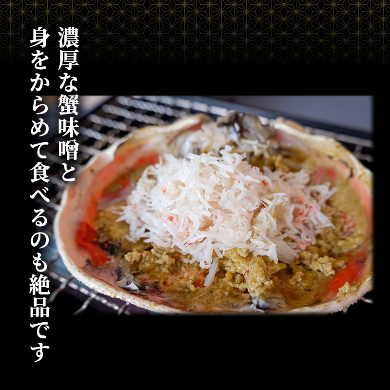 訳あり 期間限定 茹で 越前ガニ 約600g～700g未満 1杯  脚折れ 茹でガニ 越前カニ 越前蟹 ズワイガニ かに 蟹 海鮮 福井 福井県 若狭町