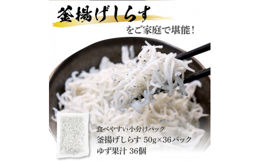 KGP069　高知県産釜揚げしらす 50g×36パック 簡易梱包 小分け 国産 釜揚げ シラス丼 海鮮丼 ゆず付 お茶漬け 軍艦巻き 手巻き寿司 36人前 大容量 冷凍配送 おかず お取り寄せ のし対応 ギフト