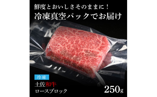TKA230　天下味 エイジング工法 熟成肉 土佐和牛 特選 ロースブロック 250g エイジングビーフ 国産 牛肉 土佐 和牛 冷凍配送 真空パック お祝い 高知 芸西村 贈り物 贈答 ギフト