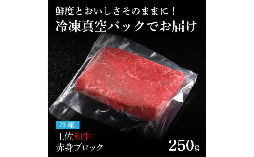 TKA228　天下味 エイジング工法 熟成肉 土佐和牛 特選 赤身ブロック 250g エイジングビーフ 国産 牛肉 土佐 和牛 冷凍配送 真空パック お祝い 高知 芸西村 贈り物 贈答 ギフト