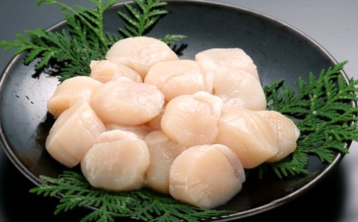 ykCʎsz23-78 kCIz[cNCYقċʗ1kg