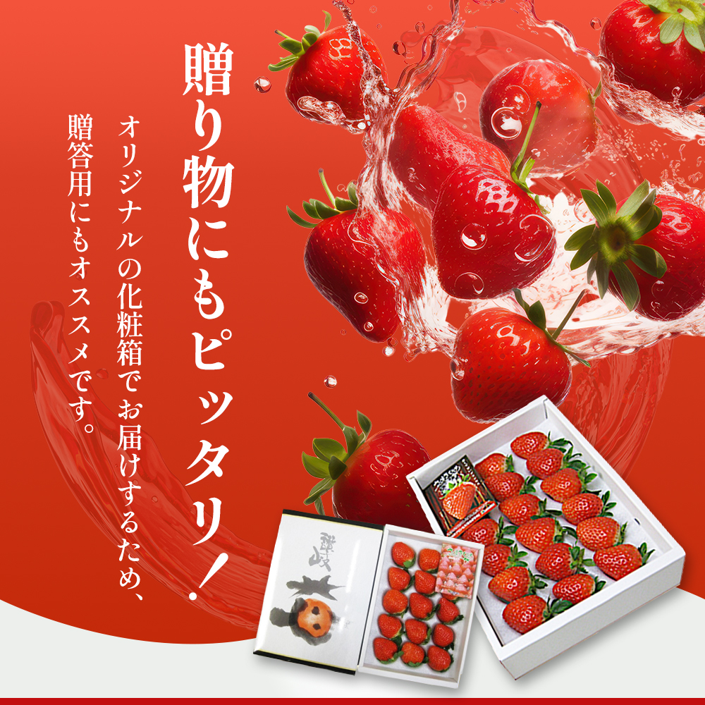 《高評価》 香川県オリジナル品種！ いちご【さぬきひめ】化粧箱 400g×2箱（ フルーツ 苺 さぬき姫 ギフト 取り寄せ 糖度 甘い 大粒 贈答 プレゼント 果物類 デザート ストロベリー ） 香川県東かがわ市 