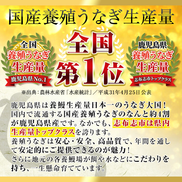 鹿児島県志布志市のふるさと納税 【2025年8月末までに配送】【志布志市人気No.1お礼の品】霧島湧水鰻の蒲焼き 160g以上×4尾＜計640g以上＞ b3-018-08