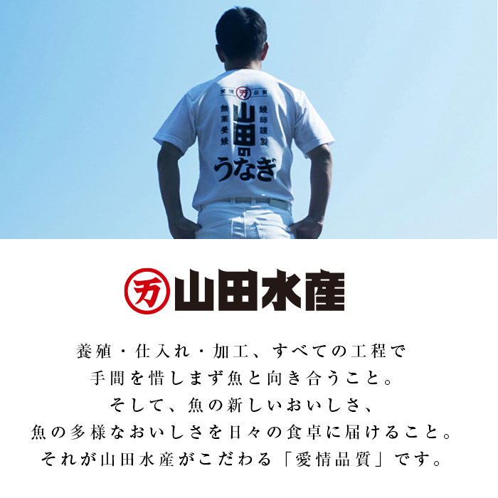 鹿児島県志布志市のふるさと納税 【志布志市人気No.1お礼の品】霧島湧水鰻の蒲焼き 160g以上×4尾＜計640g以上＞ b3-018