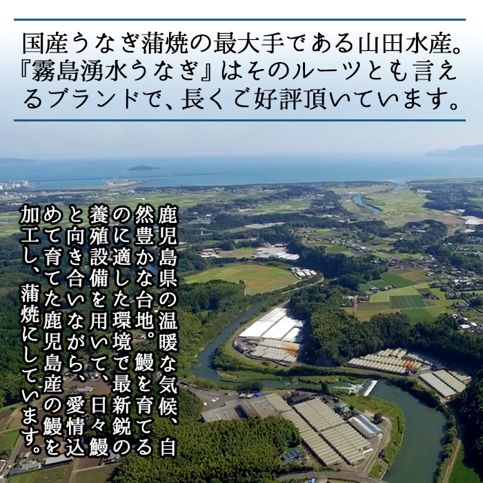 鹿児島県志布志市のふるさと納税 【2025年8月末までに配送】【志布志市人気No.1お礼の品】霧島湧水鰻の蒲焼き 160g以上×4尾＜計640g以上＞ b3-018-08