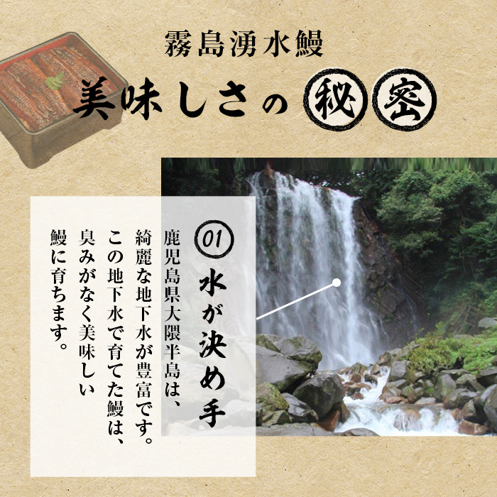 鹿児島県志布志市のふるさと納税 【志布志市人気No.1お礼の品】霧島湧水鰻の蒲焼き 160g以上×4尾＜計640g以上＞ b3-018