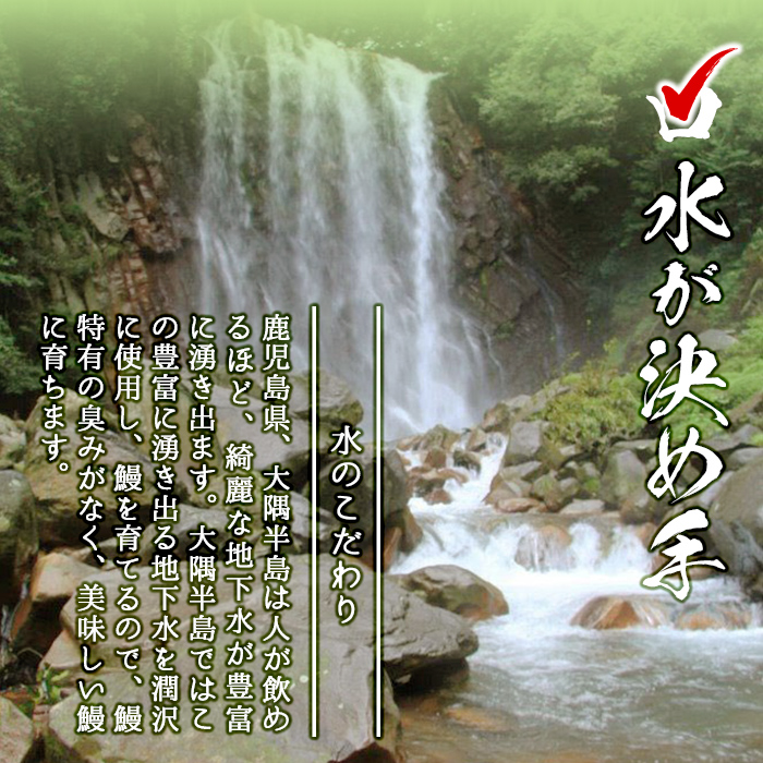 鹿児島県志布志市のふるさと納税 【2025年8月末までに配送】【志布志市人気No.1お礼の品】霧島湧水鰻の蒲焼き 160g以上×4尾＜計640g以上＞ b3-018-08