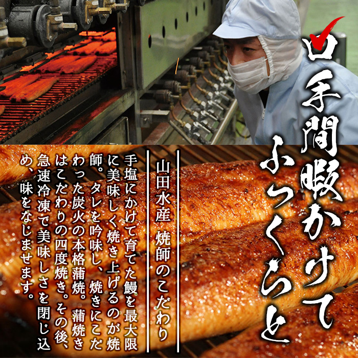 鹿児島県志布志市のふるさと納税 【2025年8月末までに配送】【志布志市人気No.1お礼の品】霧島湧水鰻の蒲焼き 160g以上×4尾＜計640g以上＞ b3-018-08