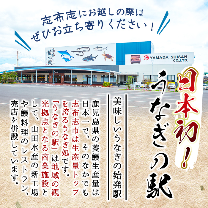 鹿児島県志布志市のふるさと納税 【2025年8月末までに配送】【志布志市人気No.1お礼の品】霧島湧水鰻の蒲焼き 160g以上×4尾＜計640g以上＞ b3-018-08