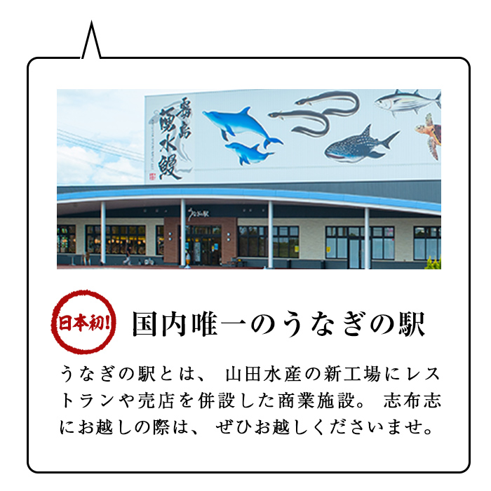 鹿児島県志布志市のふるさと納税 【志布志市人気No.1お礼の品】霧島湧水鰻の蒲焼き 160g以上×4尾＜計640g以上＞ b3-018