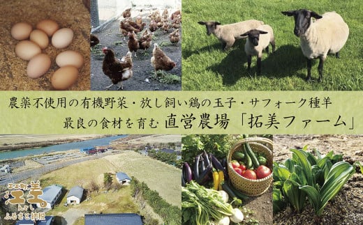 北海道江差町のふるさと納税 江差旅庭 群来（くき）《おひとり様宿泊券》　北海道の高級旅館　大人の隠れ家　源泉かけ流し天然温泉宿　個室温泉付き客室　直営農場の平飼い卵・サフォーク羊・野菜山菜　船買いの新鮮魚介　温泉熱を利用した暖房給湯　食と環境にこだわった7部屋限定の癒しの宿