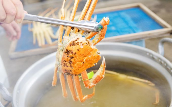 茹で松葉蟹 特々大2杯（1,100g級）〈11月中旬～2026年3月末頃発送〉 蟹 カニ かに 松葉蟹 松葉ガニ ズワイガニ ボイル