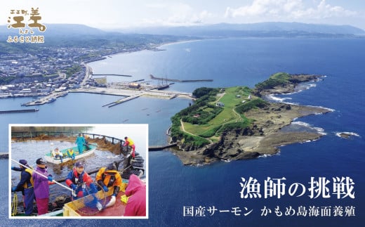 北海道江差町のふるさと納税 北海道産 スモークサーモンと切り身セット ［スモーク100g（50g×2P）&切り身60g×3切れ（個包装）／化粧箱］　王子サーモン　北海道江差産トラウトサーモン　純国産ブランドサーモン『江さしっ子 繁虎』　燻製　鮭切り身　個包装　のし対応可　贈答用　ギフト　お中元　お歳暮　お祝い