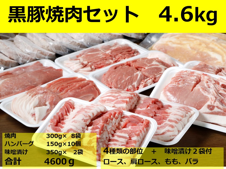 北海道 黒豚焼肉Bセット2.4kg・ハンバーグ10個・味噌漬け