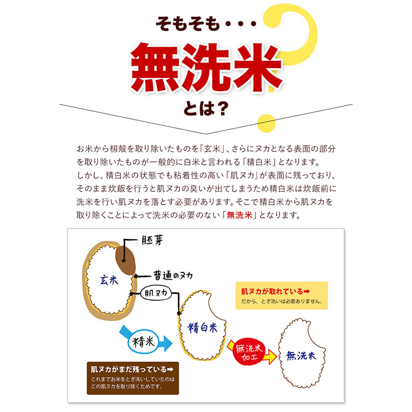 熊本県御船町のふるさと納税 無洗米 訳あり 家庭用 熊本ふるさと 無洗 米 選べる内容量 5kg 10kg 15kg 20kg 無洗米 米 コメ 熊本県産《10月中旬-12月末頃出荷》 洗わず コロナ おうちご飯 お米 おこめ 送料無料 熊本 御船 ライス SDGs ふるさと無洗米