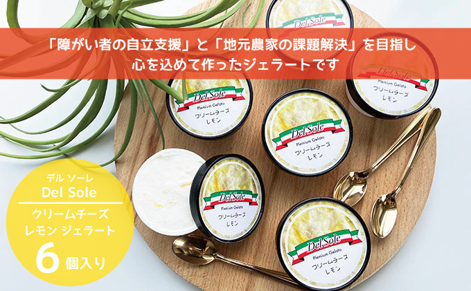 【静岡県袋井市】デルソーレ ジェラート★クリームチーズレモン★6個 農福 お菓子 スイーツ ひんやりスイーツ デザート 食後 おやつ アイス 地元食材使用 レモンジェラート フルーツジェラート