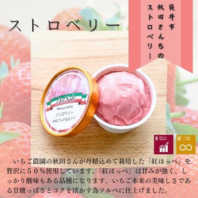 デルソーレ　ジェラート★ストロベリー★6個　農福 お菓子 スイーツ ひんやりスイーツ デザート 食後 おやつ アイス 地元食材使用 フルーツジェラート 苺ジェラート 