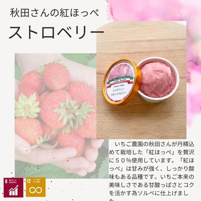 デルソーレ　ジェラート★ストロベリー★6個　農福 お菓子 スイーツ ひんやりスイーツ デザート 食後 おやつ アイス 地元食材使用 フルーツジェラート 苺ジェラート 