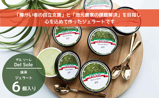 【静岡県袋井市】デルソーレ ジェラート★抹茶★6個 農福 お菓子 スイーツ ひんやりスイーツ デザート 食後 おやつ アイス 地元食材使用 抹茶ジェラート