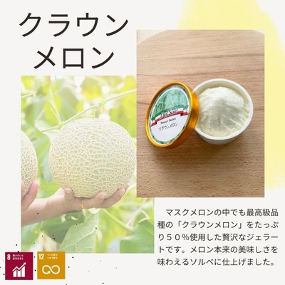 デルソーレ　ジェラート★クラウンメロン★6個　農福 お菓子 スイーツ ひんやりスイーツ デザート 食後 おやつ アイス 地元食材使用 フルーツジェラート メロンジェラート 