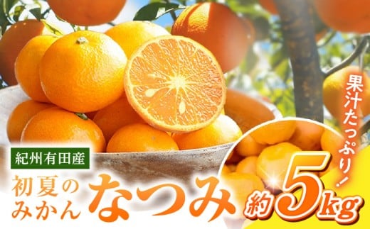 G7072_【2026年先行予約】初夏のみかん なつみ5kg