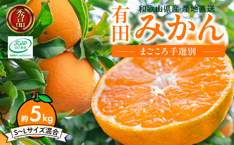 ZE6346n_【まごころ手選別】和歌山県産 有田みかん（極早生） 4kg 秀品