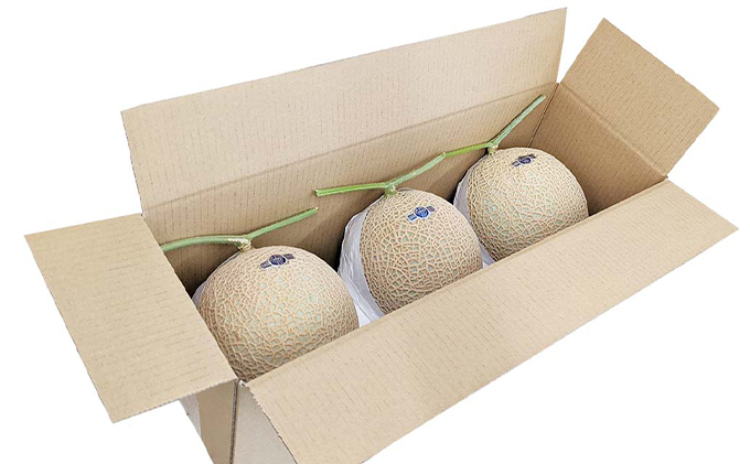 クラウンメロン【上（山等級）】特大玉（1.5kg前後）3玉入り 人気 厳選 ギフト 贈り物 デザート グルメ 果物 袋井市 果物類 メロン青肉 フルーツ