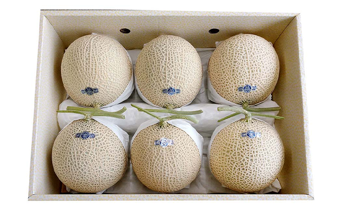 クラウンメロン【並（白等級）】大玉（1.4kg前後）6玉入り 人気 厳選 ギフト 贈り物 デザート グルメ 果物 袋井市 果物類 メロン青肉 フルーツ