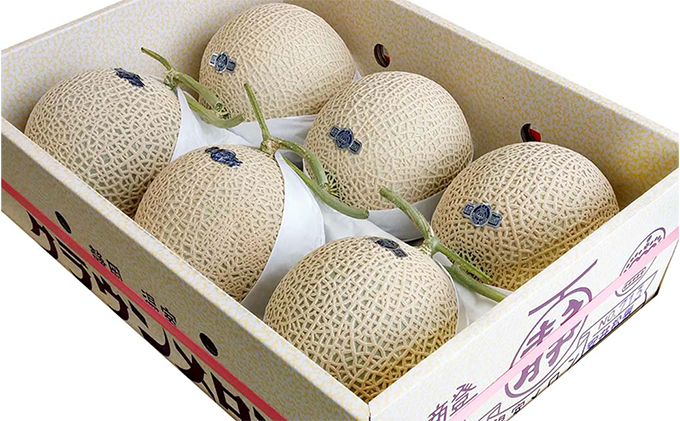 クラウンメロン【並（白等級）】特大玉（1.5kg前後）6玉入り 人気 厳選 ギフト 贈り物 デザート グルメ 果物 袋井市 果物類 メロン青肉 フルーツ