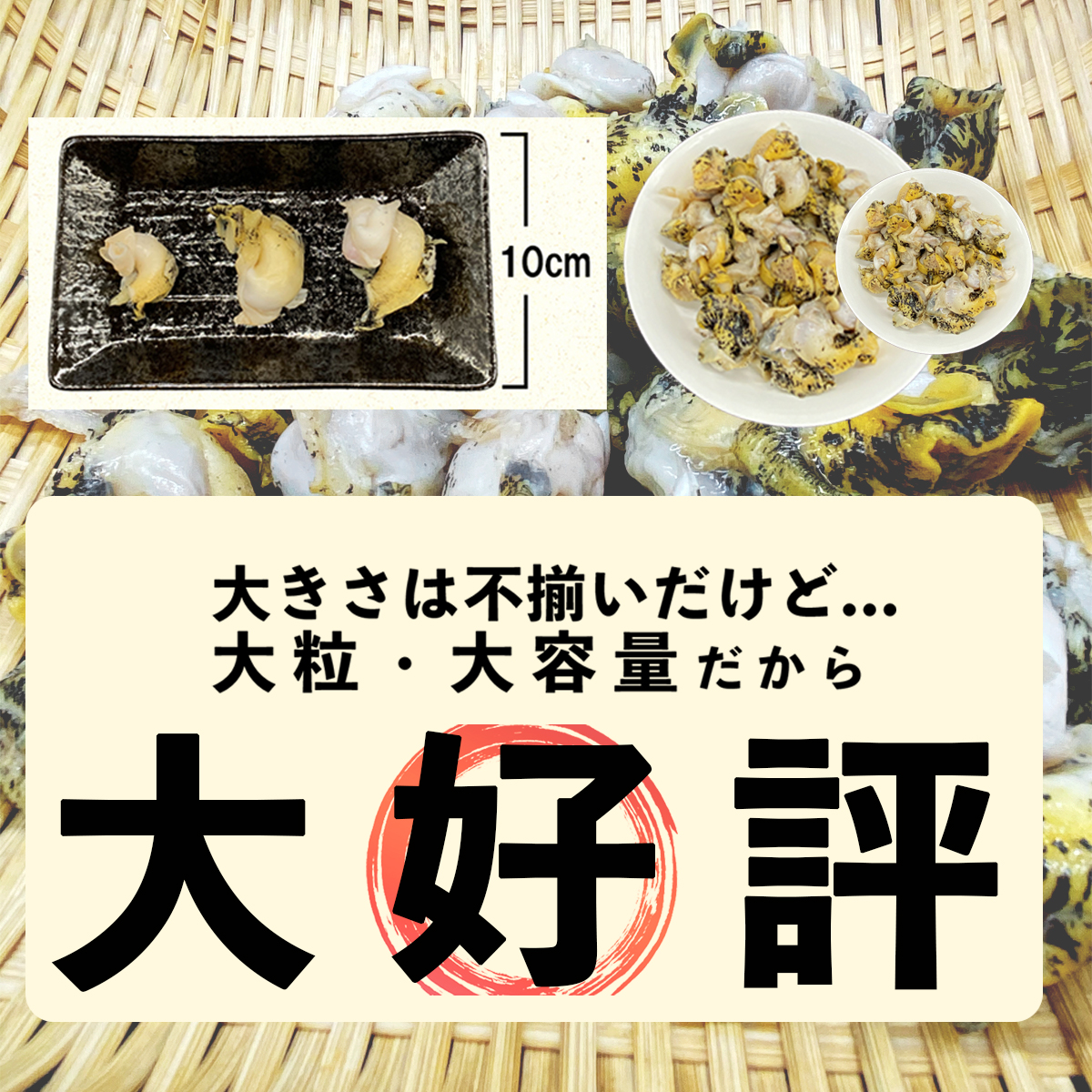 北海道鹿部町産 訳あり ”前浜ボイルつぶ ” 900g 灯台つぶ（300g×3袋）つぶ貝 刺身 つぶ ツブ ツブ貝 つぶ貝