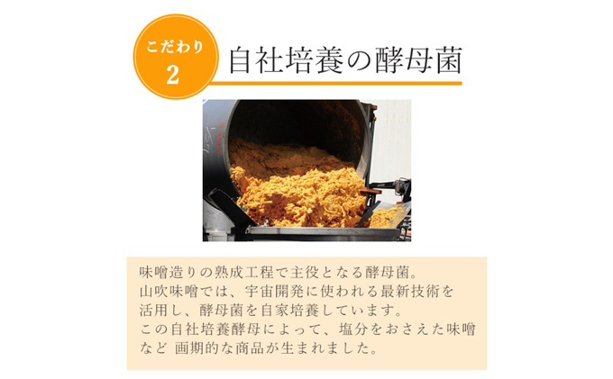 味噌 山吹味噌 黄金 1kg×2 セット 信州味噌 みそ ミソ 熟成 信州 信州みそ 無添加 調味料 小分け 長野県 長野 