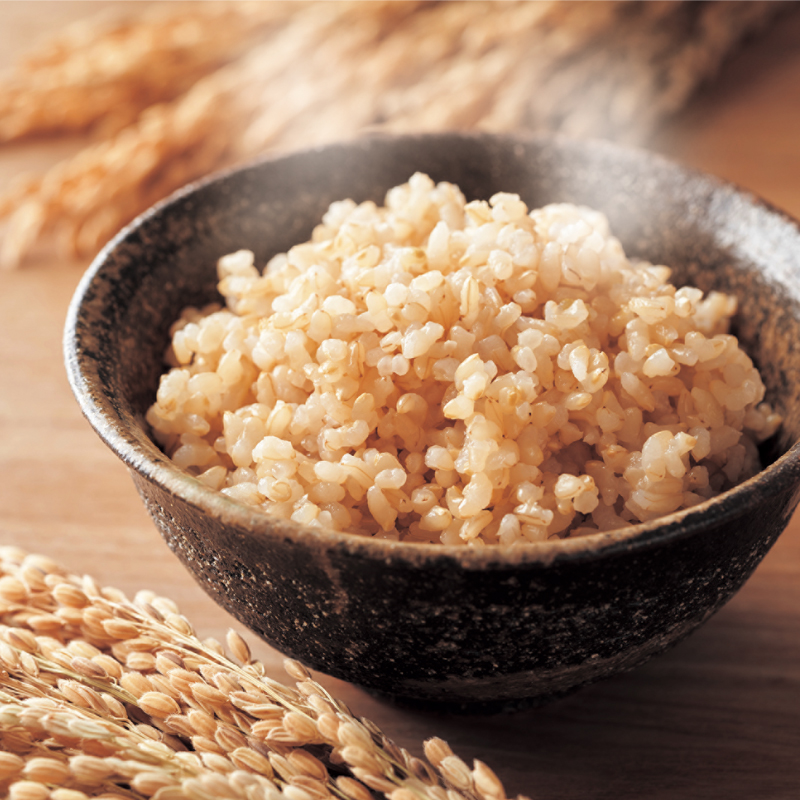 令和6年産 早炊 玄米  きぬむすめ 2kg×3袋 岡山県産　お米 国内産 ご飯 おにぎり お弁当 和食 国産 産地直送 玄米食 玄米の栄養素 