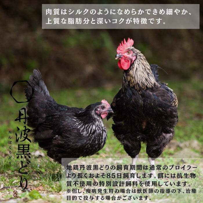 鶏肉 塩こうじ漬け 丹波黒どり むね肉 切身 1.6kg (200ｇ×8パック) 丹波 地鶏 国産 お肉 鶏 肉 お弁当 惣菜 おかず 小分け 冷凍 京都 