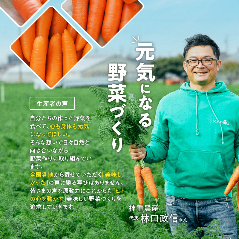 愛知県碧南市のふるさと納税 ＜フジテレビ『どっちのふるさと？』で紹介されました！＞ 訳あり 冬期限定 にんじん マドンナキャロット 容量 5kg 先行予約 国産 甘い フルーツのような味わい お子様にもおすすめ 栄養 神重農産 野菜 愛知県 碧南市 送料無料 H105-145