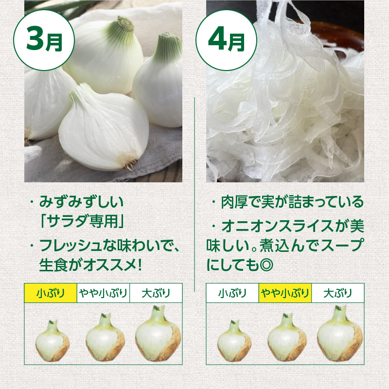 愛知県碧南市のふるさと納税 (2026年発送)【数量限定】訳あり 新玉ねぎ 生がおいしい 神重農産のブランド玉ねぎ「旬玉」2.5kg ブランド玉ねぎ 玉ねぎ 国産 愛知県産 野菜 やさい 農家直送 畑直送 旬 期間限定 たまねぎ 先行予約 旬 特産 高評価 高リピート 人気 H105-152