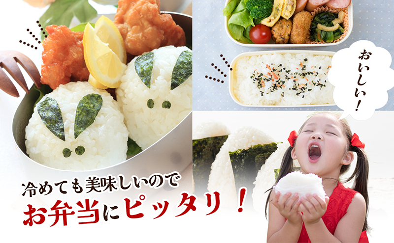 【 小豆島 】令和6年産新米 小豆島太閤 コシヒカリ 精白米 10kg（5kg×2袋）  お米 米 小豆島産 香川 香川県 土庄 土庄町