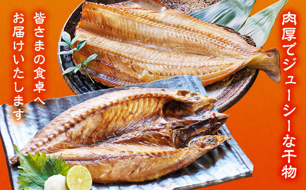 【2025年12月下旬発送】干物 おまかせ詰め合わせセット 3.5kg以上 干物 真ホッケ 干物 縞ホッケ サバ 干物 期間限定