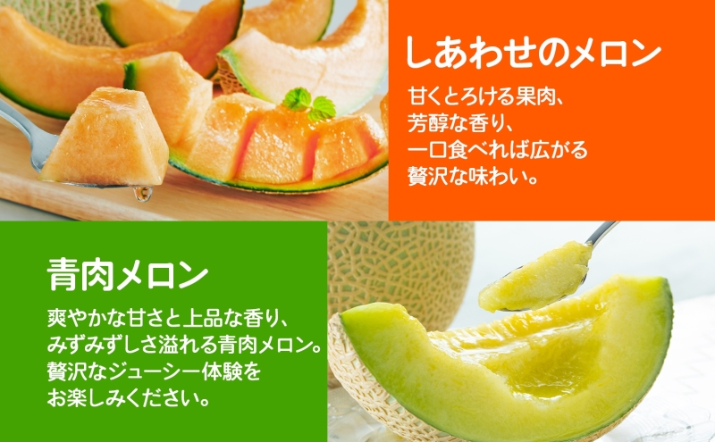 ＜2026年発送 先行受付＞ふらの産 しあわせのメロン 赤肉 青肉 メロン 2玉 セット 計4kg 富良野メロン 果物 フルーツ 甘い ギフト 贈答 産地直送 お取り寄せ 送料無料 ウエノ農園 北海道 富良野市