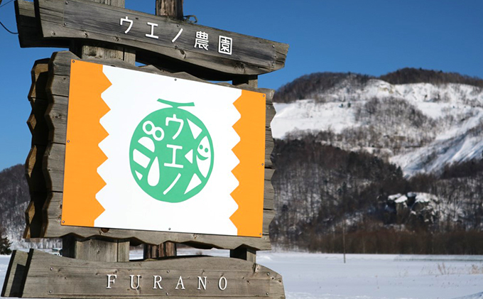 ＜2026年発送 先行受付＞ 北海道 富良野産 “朝もぎ” ホワイトコーン「雪の妖精」10本 LLサイズ (ウエノ農園 富良野) とうもろこし とうきび コーン 野菜 新鮮 甘い ジューシー 贈り物 ギフト 道産 直送 ふらの