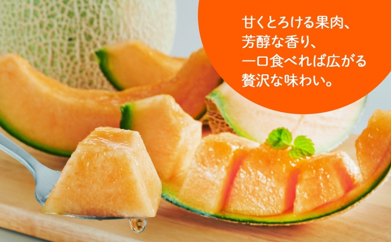 ＜2026年発送 先行受付＞ ふらの産 しあわせのメロン 赤肉 大玉 1玉 約2.3kg メロン 富良野メロン 赤肉メロン 果物 フルーツ 甘い デザート ギフト 贈答 送料無料 ウエノ農園 北海道 富良野市