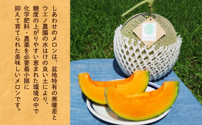 ＜2026年発送 先行受付＞ ふらの産 しあわせのメロン 赤肉 大玉 1玉 約2.3kg メロン 富良野メロン 赤肉メロン 果物 フルーツ 甘い デザート ギフト 贈答 送料無料 ウエノ農園 北海道 富良野市