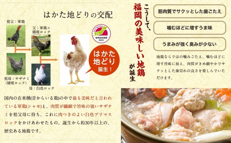 水炊き セット 2～3人前 コラーゲン スープ付き 福岡 限定！はかた地どり 美人水炊きセット 鶏 肉 とり肉 鳥肉 鶏肉 鍋 なべ ポン酢 地鶏 冷凍 贈答品 送料無料 配送不可：離島 