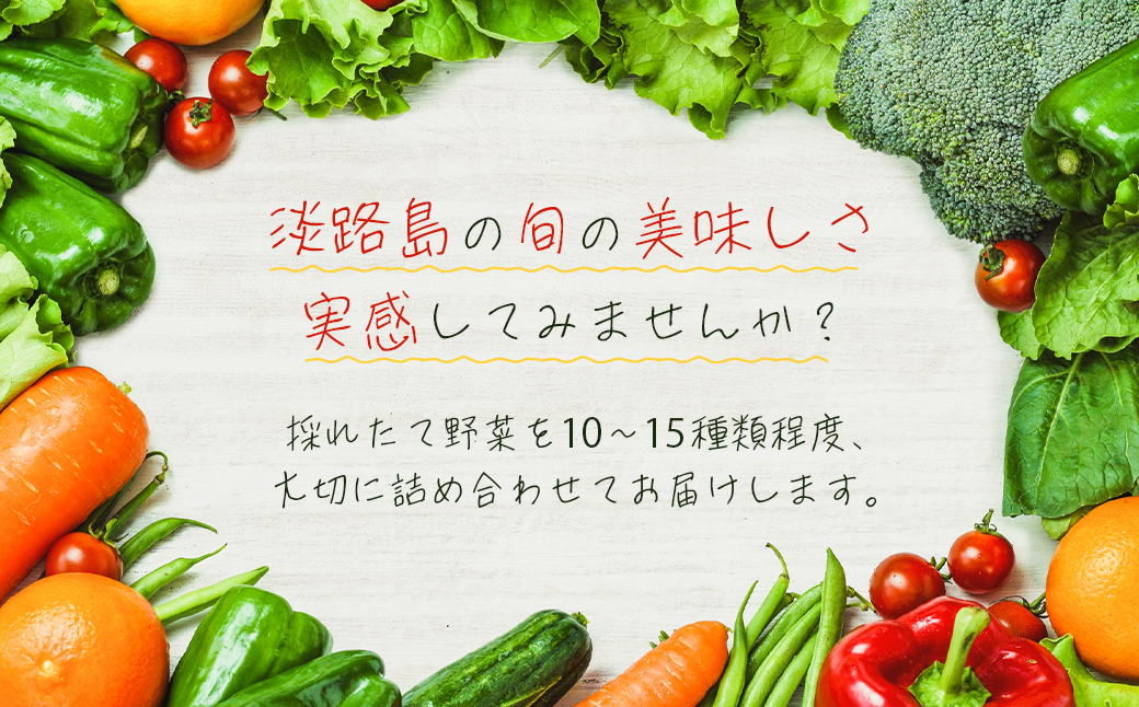兵庫県淡路市のふるさと納税 淡路島の旬の野菜セット（10～15種類程度）　　[野菜詰め合わせ]