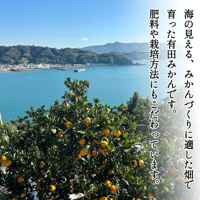 DZ6033_家庭用 ご有田みかん 和歌山 小玉(2S,3Sサイズ混合) 約3kg